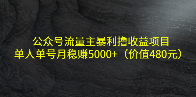 （4011期）公众号流量主暴利撸收益项目，单人单号月稳赚5000+（价值480元）_免费分享网络创业,副业,信息差项目的老牌资源整合平台！金铲子项目