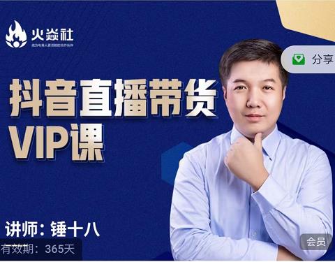 锤十八-抖音直播带货VIP课，专注直播带货有效盈利模式_免费分享网络创业,副业,信息差项目的老牌资源整合平台！金铲子项目