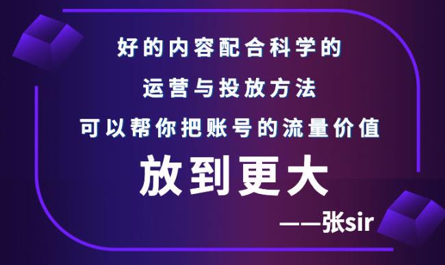 张sir账号流量增长课，告别海王流量，让你的流量更精准_免费分享网络创业,副业,信息差项目的老牌资源整合平台！金铲子项目