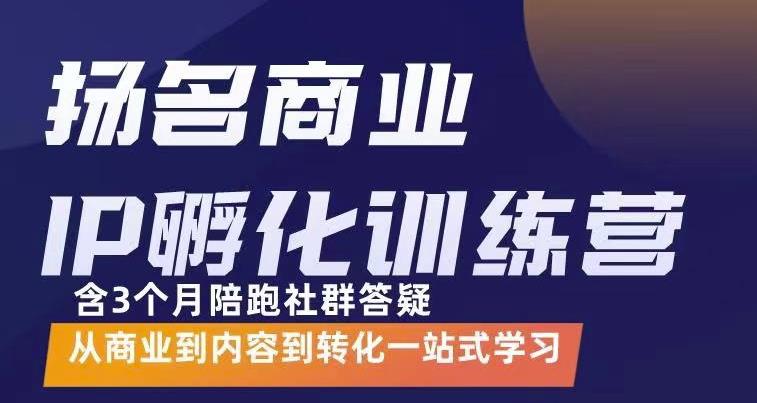 杨名商业IP孵化训练营，从商业到内容到转化一站式学价值5980元_免费分享网络创业,副业,信息差项目的老牌资源整合平台！金铲子项目