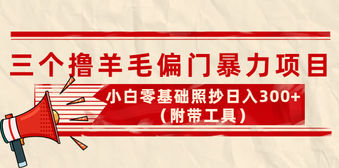（4110期）外面卖998的三个撸羊毛偏门暴力项目，小白零基础照抄（附带工具）_免费分享网络创业,副业,信息差项目的老牌资源整合平台！金铲子项目