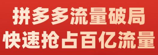 阿杰·拼多多流量破局:如何打黑标，爆款的思路，拼多多流量框架，快速抢占百亿流量_免费分享网络创业,副业,信息差项目的老牌资源整合平台！金铲子项目