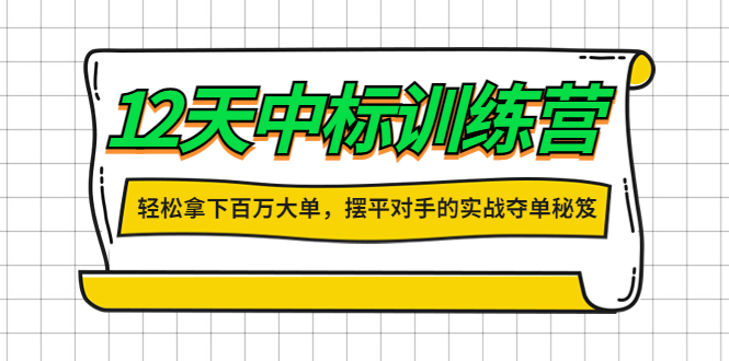 （4116期）12天中标训练营：拿下百万大单，摆平对手的实战夺单秘笈_免费分享网络创业,副业,信息差项目的老牌资源整合平台！金铲子项目