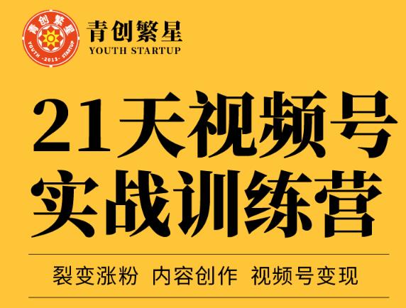 张萌21天视频号实战训练营，裂变涨粉、内容创作、视频号价值298元_免费分享网络创业,副业,信息差项目的老牌资源整合平台！金铲子项目