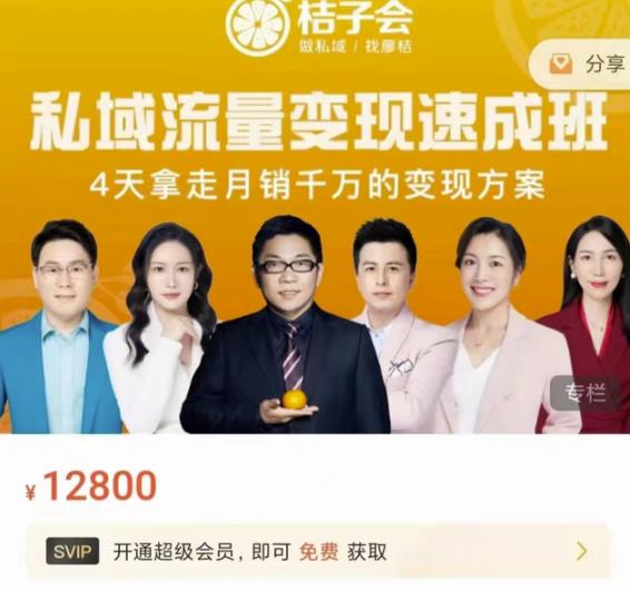 桔子会·私域流量速成班，4天拿走千万的方案价值12800元_免费分享网络创业,副业,信息差项目的老牌资源整合平台！金铲子项目