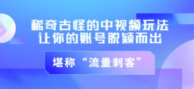 不讲李·稀奇古怪的冷门中视频冷门玩法，让你的账号脱颖而出，成为流量刺客（图文视频）_免费分享网络创业,副业,信息差项目的老牌资源整合平台！金铲子项目