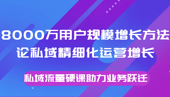 8000万用户规模增长方法论私域精细化运营增长，私域流量硬课助力业务跃迁_免费分享网络创业,副业,信息差项目的老牌资源整合平台！金铲子项目