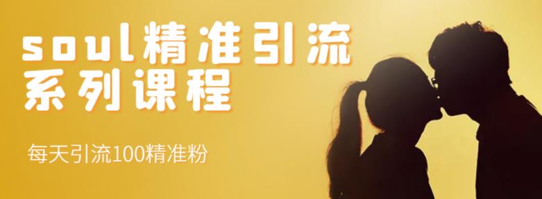 soul精准引流系列课程，每天引流100精准粉_免费分享网络创业,副业,信息差项目的老牌资源整合平台！金铲子项目