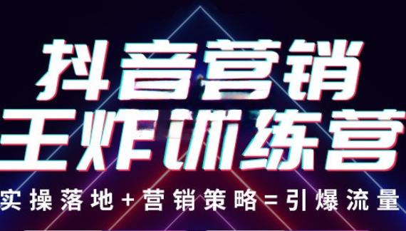 抖音营销王炸训练营，实操落地营销策略=引爆流量（价值8960元）_免费分享网络创业,副业,信息差项目的老牌资源整合平台！金铲子项目