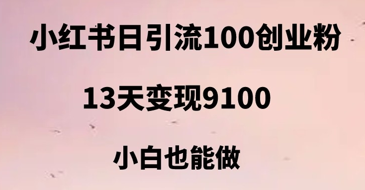 小红书日引流创业粉，13天9100，创业首选引流平台_免费分享网络创业,副业,信息差项目的老牌资源整合平台！金铲子项目