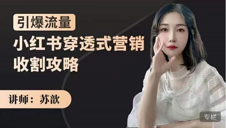 苏歆：小红书穿透式营销收割攻略，引爆流量，助你玩转小红书_免费分享网络创业,副业,信息差项目的老牌资源整合平台！金铲子项目