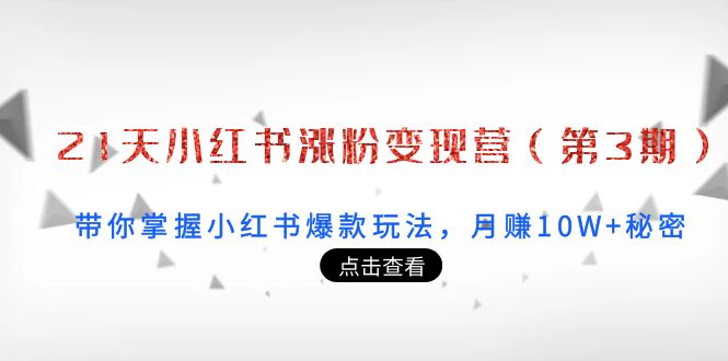 21天小红书涨粉营（第3期）：带你掌握小红书爆款玩法，秘密_免费分享网络创业,副业,信息差项目的老牌资源整合平台！金铲子项目