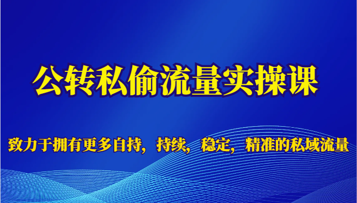 公转私偷流量实操课，致力于拥有更多自持，持续，稳定，精准的私域流量_免费分享网络创业,副业,信息差项目的老牌资源整合平台！金铲子项目