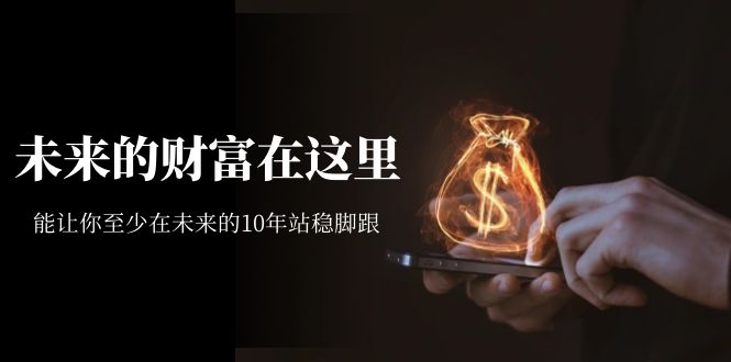 某收费文章《未来的财富在这里》能让你至少在未来的10年站稳脚跟_免费分享网络创业,副业,信息差项目的老牌资源整合平台！金铲子项目