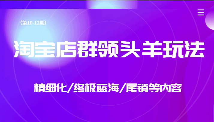 淘宝店群领头羊玩法，精细化/终极蓝海/尾销等内容（第10-12期）_免费分享网络创业,副业,信息差项目的老牌资源整合平台！金铲子项目