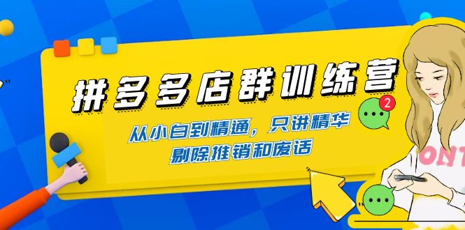 （4318期）拼多多店群训练营：从小白到精通，只讲精华，剔除推销和废话_免费分享网络创业,副业,信息差项目的老牌资源整合平台！金铲子项目
