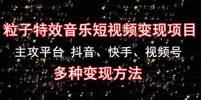 （4586期）《粒子特效音乐短视频项目》主攻平台抖音、快手、视频号多种方法_免费分享网络创业,副业,信息差项目的老牌资源整合平台！金铲子项目