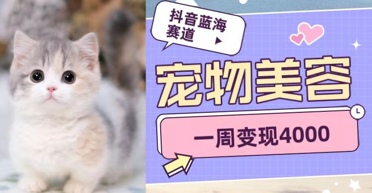 抖音蓝海赛道，宠物美容，一周4000_免费分享网络创业,副业,信息差项目的老牌资源整合平台！金铲子项目
