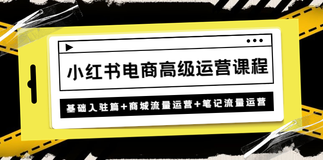 （4638期）小红书电商高级运营课程：基础入驻篇商城流量运营笔记流量运营_免费分享网络创业,副业,信息差项目的老牌资源整合平台！金铲子项目