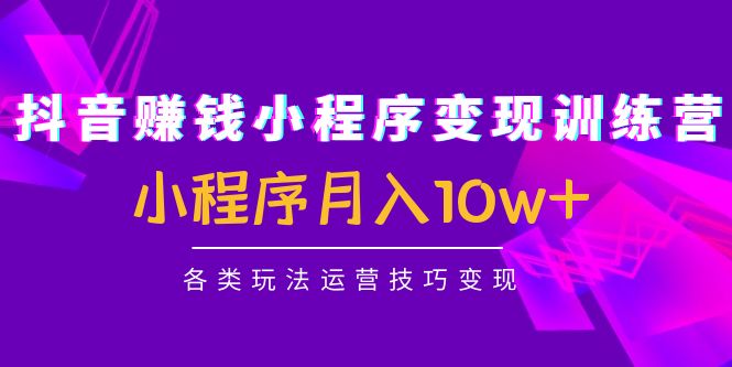 抖音赚钱小程序训练营：小程序各类玩法运营技巧_免费分享网络创业,副业,信息差项目的老牌资源整合平台！金铲子项目