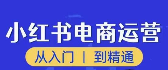 顽石小红书电商高阶运营课程，从入门到精通，玩法流程持续更新_免费分享网络创业,副业,信息差项目的老牌资源整合平台！金铲子项目
