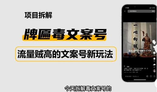 2023抖音快手毒文案新玩法，牌匾文案号，起号快易_免费分享网络创业,副业,信息差项目的老牌资源整合平台！金铲子项目