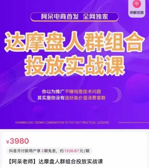 阿呆电商·达摩盘人群组合投放实战课，你以为推广不赚钱是技术问题，其实是你没有选好高价值消费客群_免费分享网络创业,副业,信息差项目的老牌资源整合平台！金铲子项目