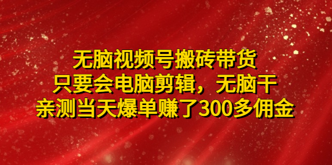（4862期）无脑视频号搬砖带货，只要会电脑剪辑，无脑干，亲测爆单赚了300多佣金_免费分享网络创业,副业,信息差项目的老牌资源整合平台！金铲子项目