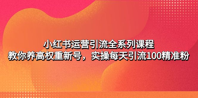 （4950期）小红书运营引流全系列课程：教你养高权重新号，实操每天引流100精准粉_免费分享网络创业,副业,信息差项目的老牌资源整合平台！金铲子项目