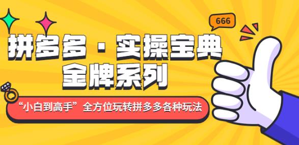 拼多多·实操宝典：金牌系列“小白到高手”带你全方位玩转拼多多各种玩法_免费分享网络创业,副业,信息差项目的老牌资源整合平台！金铲子项目