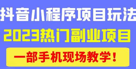 抖音小程序9.0新技巧，2023热门副业项目，动动手指_免费分享网络创业,副业,信息差项目的老牌资源整合平台！金铲子项目