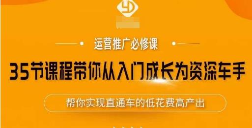 35节课程带你从入门成长为资深车手，让系统学习直通车成为可能，帮你实现直通车的低花费高产出_免费分享网络创业,副业,信息差项目的老牌资源整合平台！金铲子项目