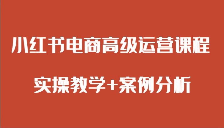 小红书电商高级运营课程实操教学案例分析_免费分享网络创业,副业,信息差项目的老牌资源整合平台！金铲子项目