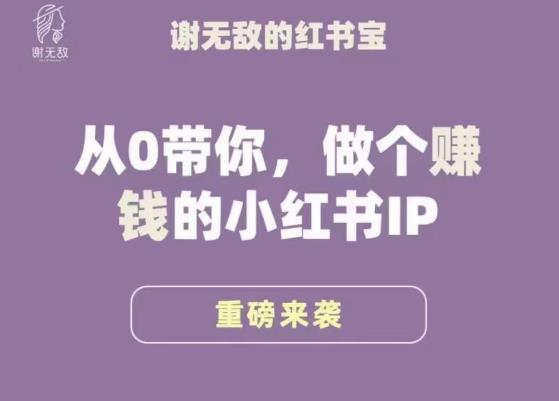 谢无敌·小红书运营大宝典，从0带你做个赚钱的小红书IP_免费分享网络创业,副业,信息差项目的老牌资源整合平台！金铲子项目