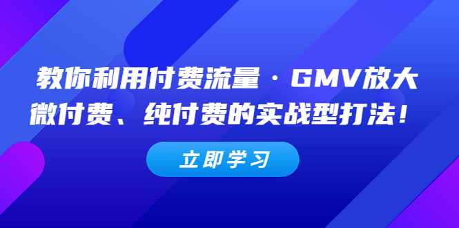 （5106期）教你利用付费流量·GMV放大，微付费、纯付费的实战型打法_免费分享网络创业,副业,信息差项目的老牌资源整合平台！金铲子项目