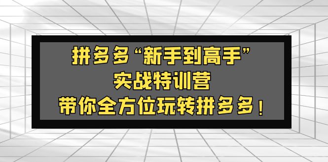 （5173期）拼多多“新手到高手”实战特训营：带你全方位玩转拼多多_免费分享网络创业,副业,信息差项目的老牌资源整合平台！金铲子项目