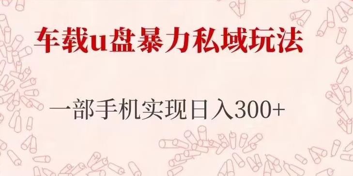 车载u盘暴力私域玩法，长期项目，仅需一部手机实现_免费分享网络创业,副业,信息差项目的老牌资源整合平台！金铲子项目