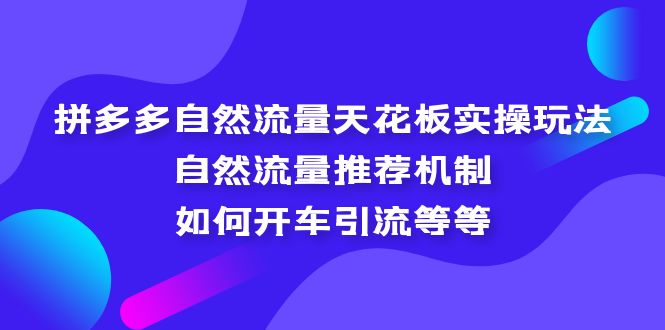 （5327期）拼多多自然流量天花板实操玩法：自然流量推荐机制，如何开车引流等等_免费分享网络创业,副业,信息差项目的老牌资源整合平台！金铲子项目