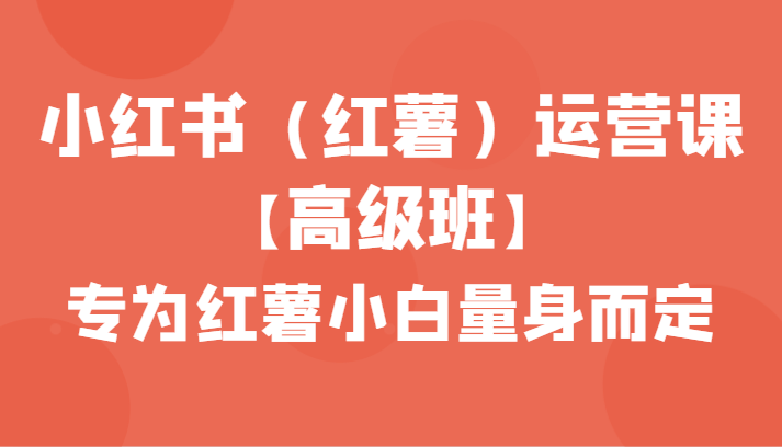 小红书（红薯）运营课【高级班】，专为红薯小白量身而定（42节课）_免费分享网络创业,副业,信息差项目的老牌资源整合平台！金铲子项目