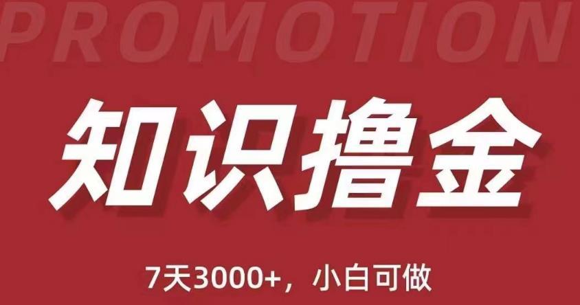 抖音知识撸金项目：简单粗暴执行力强见(教程资料)_免费分享网络创业,副业,信息差项目的老牌资源整合平台！金铲子项目