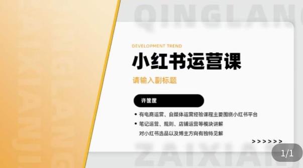 许筐筺·小红书运营课，​笔记运营、规则、店铺运营等模块讲解，学会自己独立运营小红书账号_免费分享网络创业,副业,信息差项目的老牌资源整合平台！金铲子项目