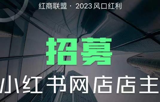 红商联盟·小红书无货源电商1.0，0粉丝无需囤货，小白也可以上手的无货源项目_免费分享网络创业,副业,信息差项目的老牌资源整合平台！金铲子项目