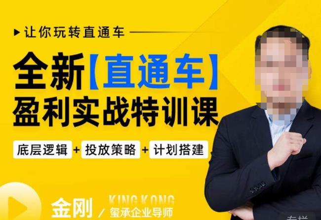 玺承·全新直通车盈利实战特训课，从​底层逻辑详细拆解，从底层，策略到搭建，让你玩转直通车_免费分享网络创业,副业,信息差项目的老牌资源整合平台！金铲子项目
