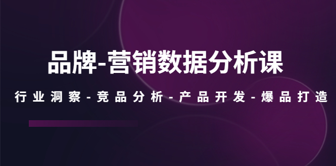 （5565期）品牌-营销数据分析课，行业洞察-竞品分析-产品开发-爆品打造_免费分享网络创业,副业,信息差项目的老牌资源整合平台！金铲子项目