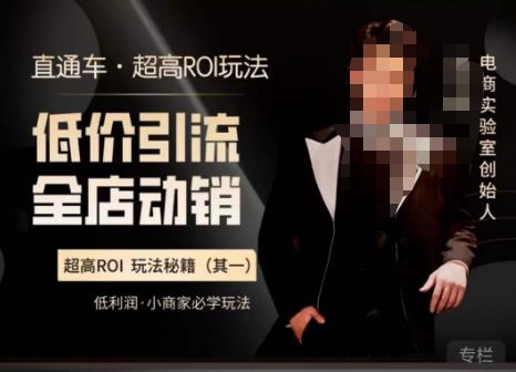 电商冰可乐·直通车·《低价引流·全店动销》，直通车·超高ROI玩法（其一）全店动销必学玩法_免费分享网络创业,副业,信息差项目的老牌资源整合平台！金铲子项目