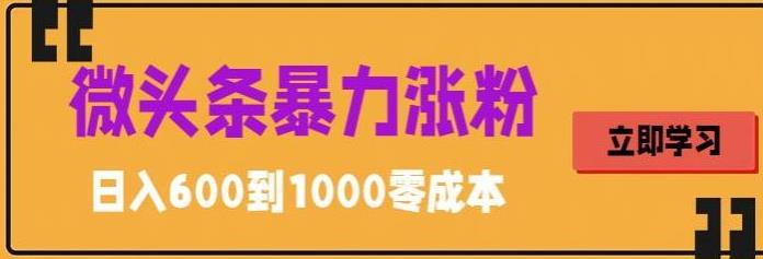 微头条暴力涨粉技巧搬运文案就能涨几万粉丝，简单，【揭秘】_免费分享网络创业,副业,信息差项目的老牌资源整合平台！金铲子项目