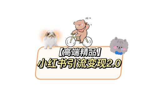 小红书最新引流教程，全网最新最详细的视频教程以及素材_免费分享网络创业,副业,信息差项目的老牌资源整合平台！金铲子项目
