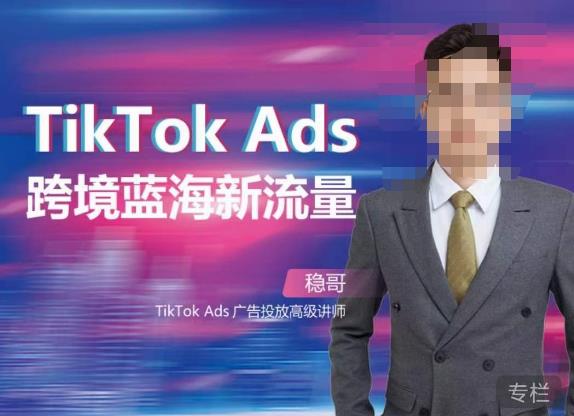 稳哥·如何投出高ROI的TikTok广告，开拓独立站卖家流量新蓝海_免费分享网络创业,副业,信息差项目的老牌资源整合平台！金铲子项目