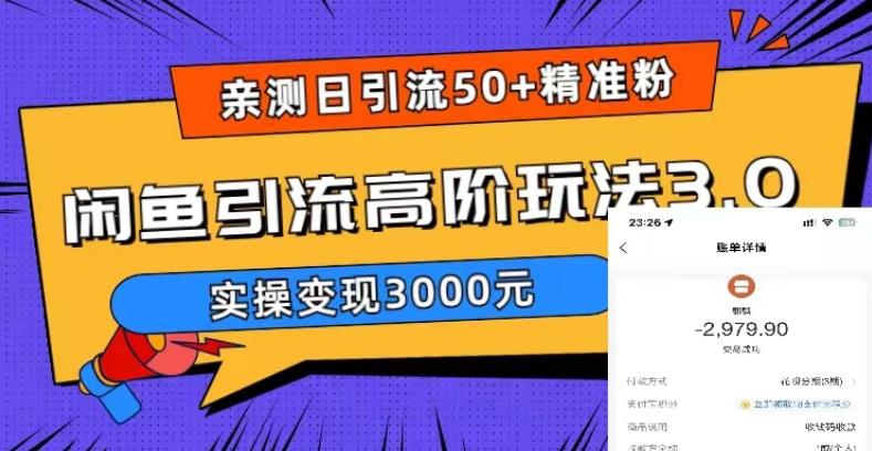 （5739期）实测日引精准粉，闲鱼引流高阶玩法3.0，实操3000元_免费分享网络创业,副业,信息差项目的老牌资源整合平台！金铲子项目