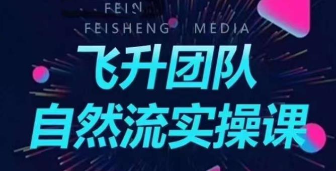 飞升团队课程自然流实操课，抖音半无人起号主播间搭建教学_免费分享网络创业,副业,信息差项目的老牌资源整合平台！金铲子项目